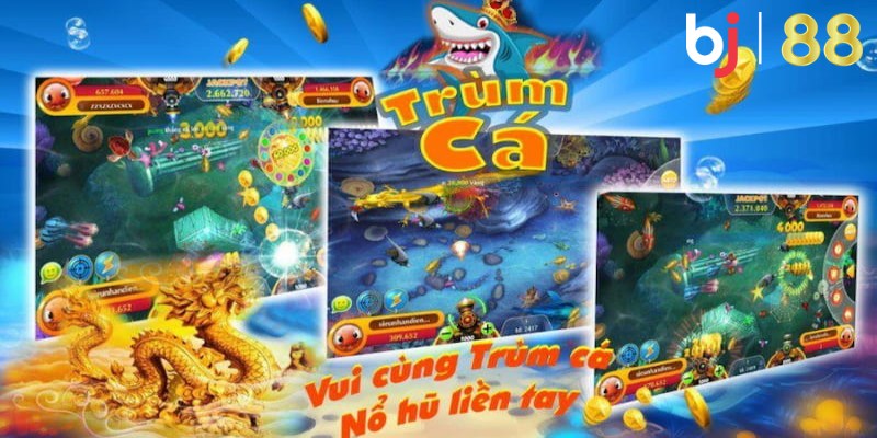 Cộng đồng đông đảo, hỗ trợ nhiệt tình